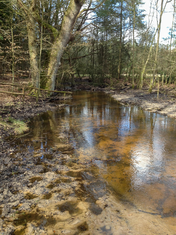 natuurbehoud